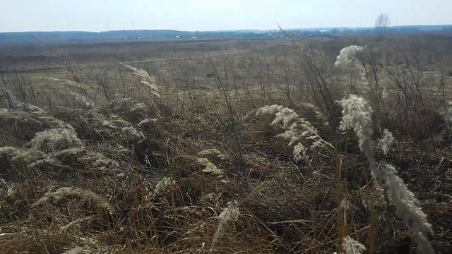 Узнай свой внутренний мир. Любовь и отношения смотреть онлайн