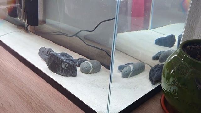 Тесты воды, замена воды, коридорасы. Аквариум большого размера 250×60×50 на 750 литров. Часть 32 смотреть онлайн