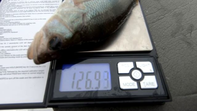 ИТОГИ КОНКУРСА НА ЗИМНЮЮ УДОЧКУ!