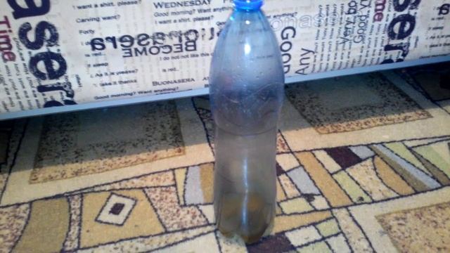 Простейшая мышеловка из бутылки за 1 минуту смотреть онлайн