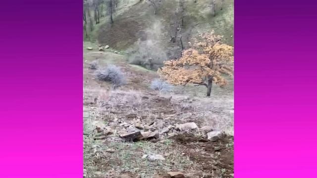 Oddly Satisfying Video With Calming Deep Sleep Music - Stress Relief & Meditation #27 смотреть онлайн