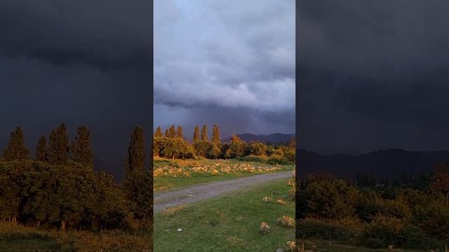 Мтирала-плачущая гора смотреть онлайн