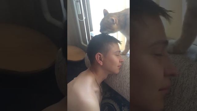 Кот ну очень любит хозяина))) смотреть онлайн
