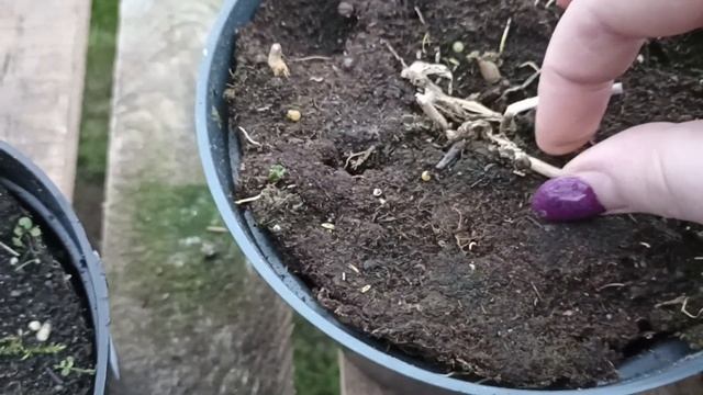 Получили первую посылку с хостами Я в восторге (15 января 2022) смотреть онлайн