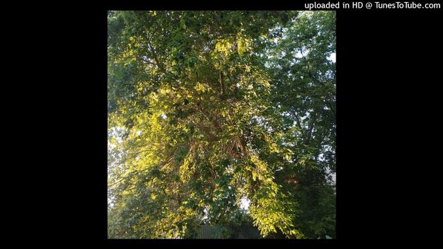 LOQIEMEAN - АЛЛО (INSTRUMENTAL) смотреть онлайн