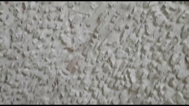 Ali Ekber Çiçek-Haydar Haydar-Klasik Gitar (Beytullah Yanık) смотреть онлайн