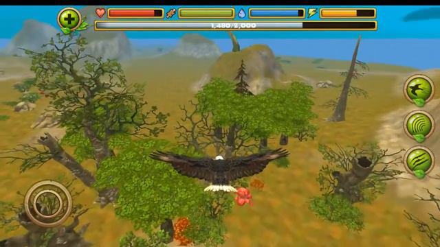 Eagle Simulator (симулятор орла) Gameplay. Android games. смотреть онлайн