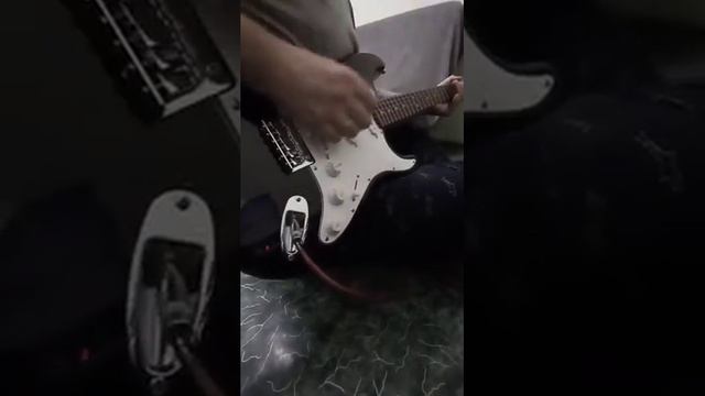 fender squier MM смотреть онлайн