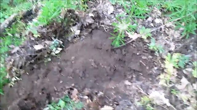 Коп в старом лесу Удачный выход Булавка РЖВ и дротик КР смотреть онлайн