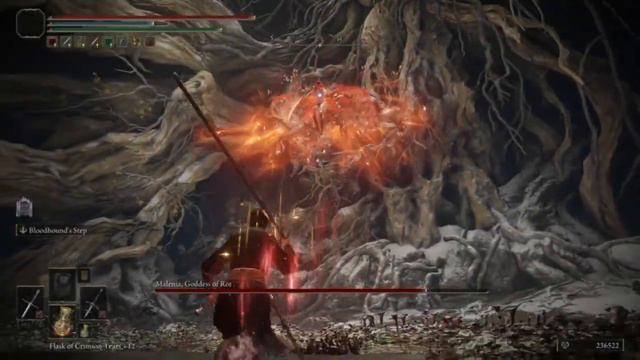 ELDEN RING || Beating Malenia until the DLC releases Day 10.1 (Before uber eats arrives edition) смотреть онлайн