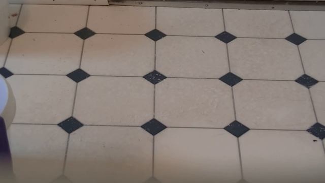 Stain cleaner on kitchen linoleum смотреть онлайн