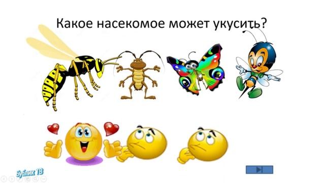 Игра викторина насекомые для детей. Обучающее видео..mp4 смотреть онлайн