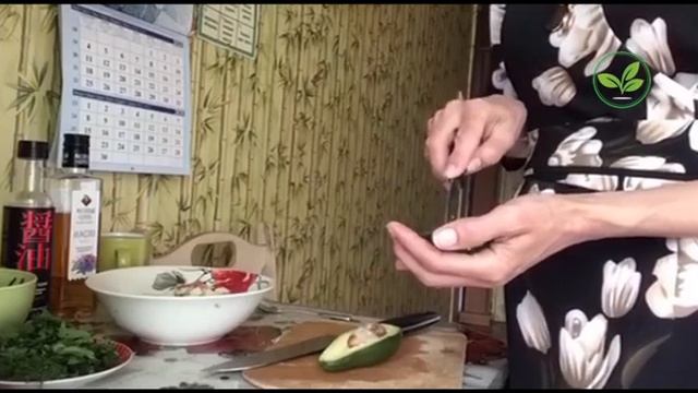 Вегетарианские Рестораны