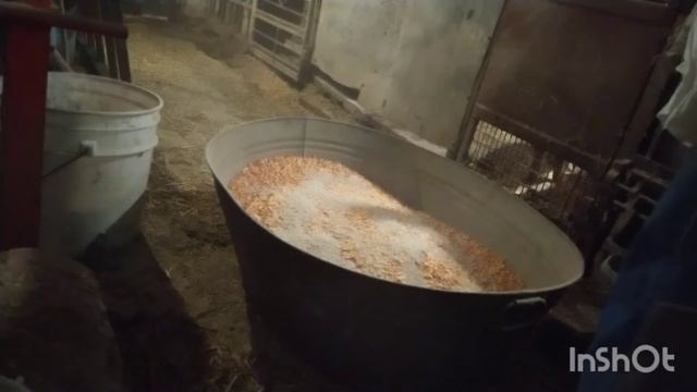 лутший комбикорм для кур несушек смотреть онлайн