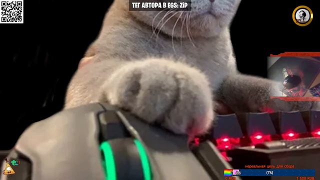 #РакВАтаке Fortnite смотреть онлайн