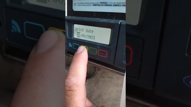 распечатка термописца