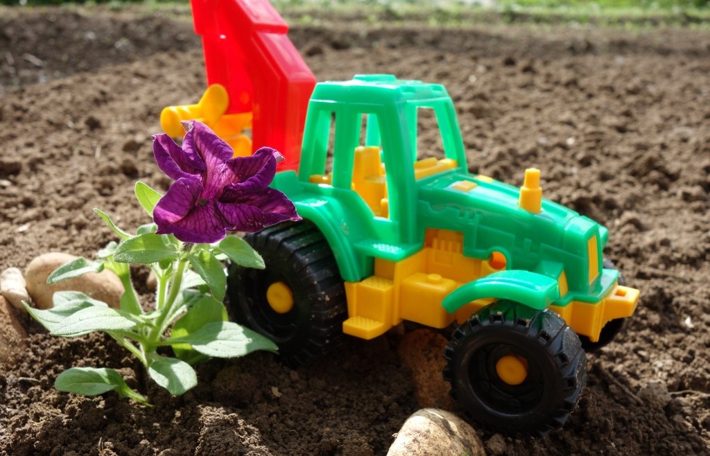 Тетя Мыша. Сажаем цветы на даче. Видео для детей. смотреть онлайн