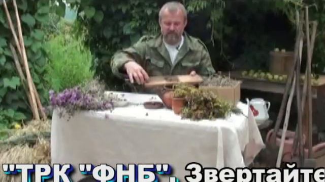 Усадьба Травовед смотреть онлайн
