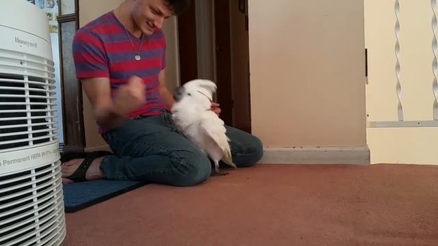 Onni cockatoo, "I got your nose" game смотреть онлайн