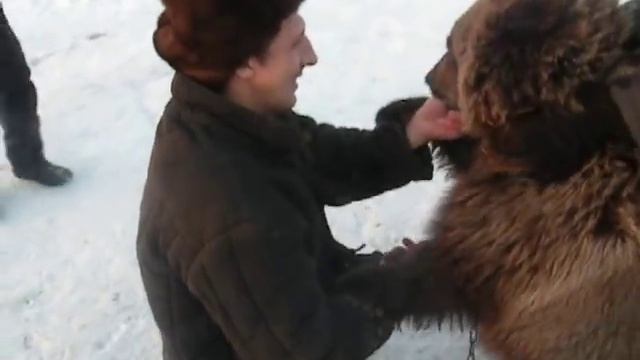 Антон Шаферов играет с медвежонком смотреть онлайн