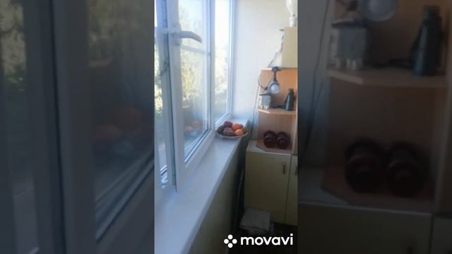 продам 2к, распашонку, 44м2, Комс64. 4/5 смотреть онлайн