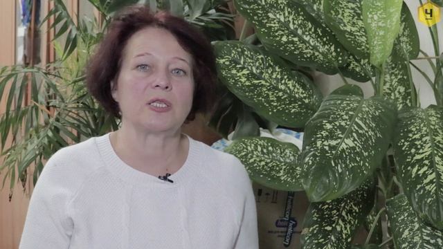 О сахарах в мёде смотреть онлайн