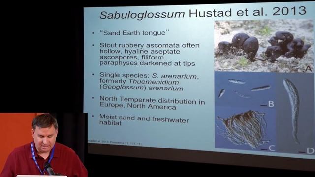 03 Andy Miller Overview of Geoglossomycetes смотреть онлайн