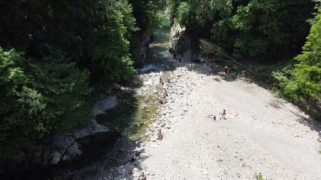 Тисо-самшитовая роща. Прогулка по большому кольцу. Хоста. смотреть онлайн