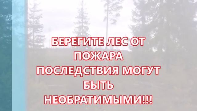 Лес в огне. Причины и последствия лесного пожара смотреть онлайн