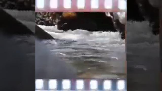 Событий череда ( моё личное стихотворение) смотреть онлайн