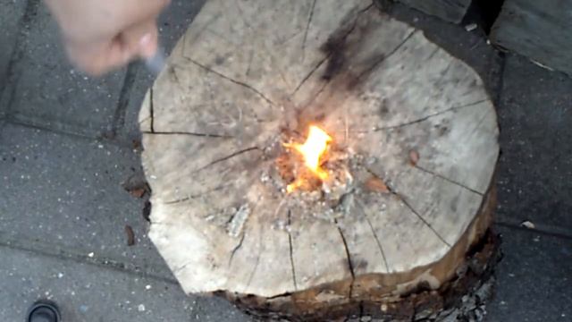 Bushcraft "naturel tinder" salix caprea firesteel test. смотреть онлайн