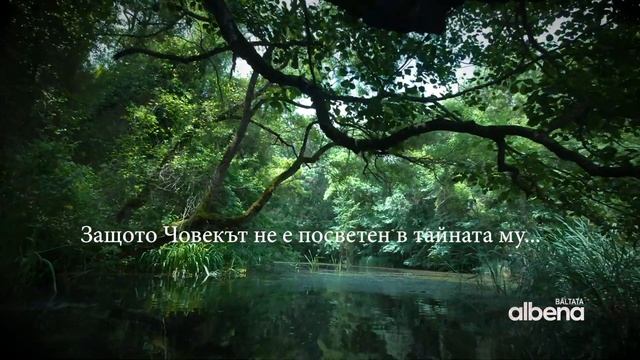 BG Природен Резерват Балтата - Зеленото сърце на Албена смотреть онлайн