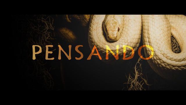 Anitta - Veneno (Lyric Video) | CantoYo смотреть онлайн