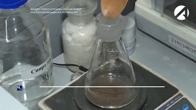 Семнадцать несанкционированных свалок выявили специалисты Россельхознадзора смотреть онлайн