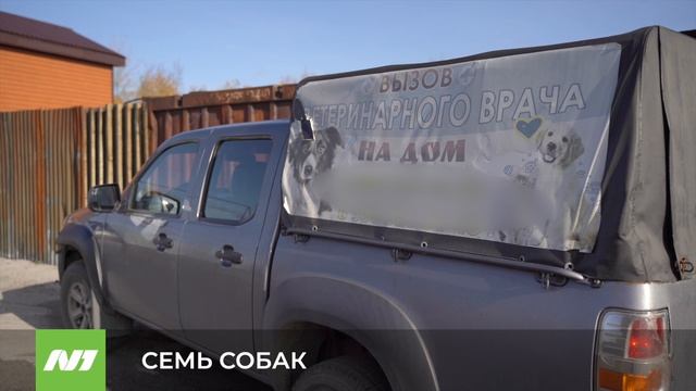 СЕМЬ СОБАК смотреть онлайн