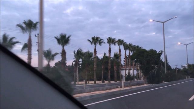 Palmiye Ağaçlarını Nasıl Bilirsiniz? смотреть онлайн