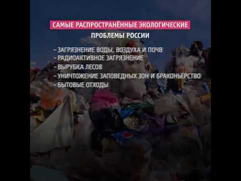 Экологические поправки в Конституцию смотреть онлайн
