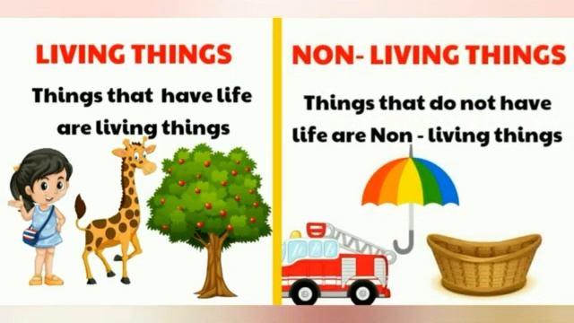Ch: 6 (Difference between living & non living things) смотреть онлайн