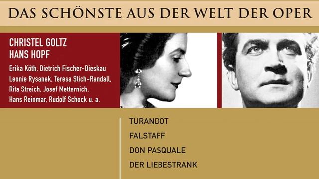 Don Pasquale: Armer Ernesto смотреть онлайн