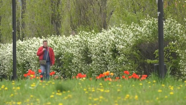 Воронеж оказался в 10ке самых агрессивных городов России смотреть онлайн