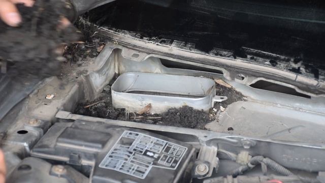 Вода в ногах у пассажира Honda Accord V (CC, CE) | Забитые водостоки смотреть онлайн