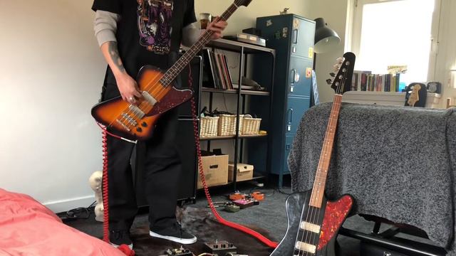 Pete Haba - NQ Music Bass Audition смотреть онлайн
