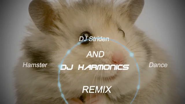 The Hampster Dance - (DJ Harmonics & DJ Striden Remix) смотреть онлайн