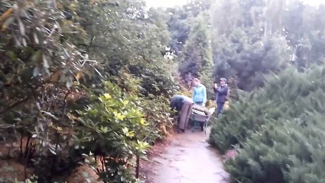 Аптекарский огород МГУ Проспект Мира смотреть онлайн