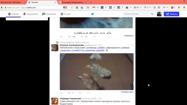 Праздничная настройка Twitter смена темы и цвета, а так же личные данные смотреть онлайн
