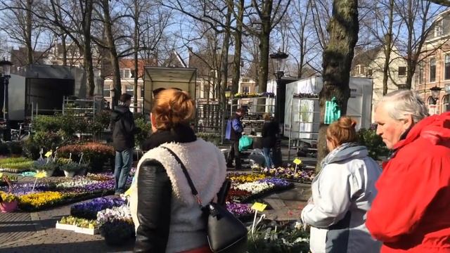 Весна в Голландии. Как избавиться от сороконожек. смотреть онлайн