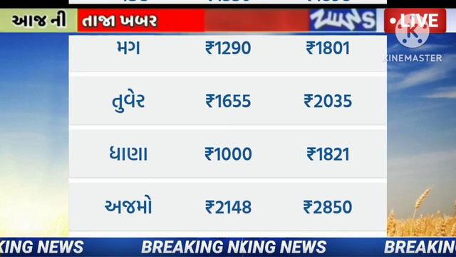 commodity prices 27.02.2024 rajkot marketing yard na bhav|saurashtra ajn bajar bhav|commodity price смотреть онлайн