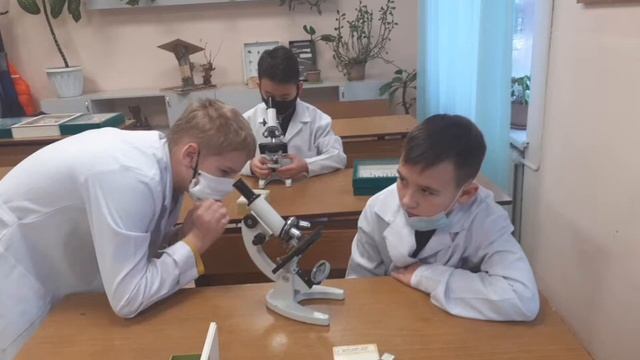 Работа с микроскопом смотреть онлайн