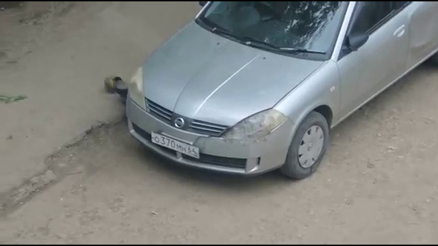 Ворона играет в футбол смотреть онлайн