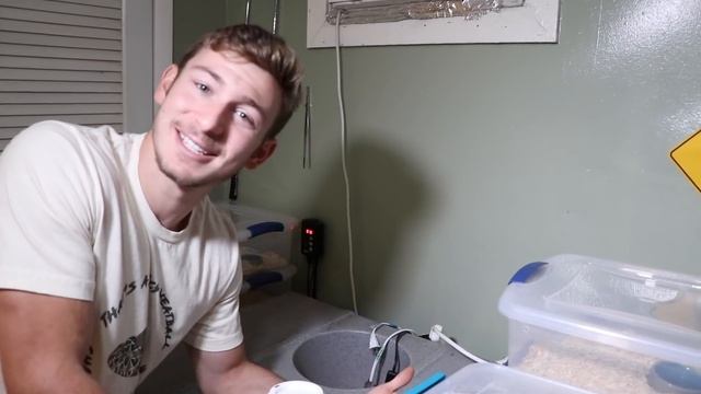 HATCHING COBRA EGGS!!! смотреть онлайн